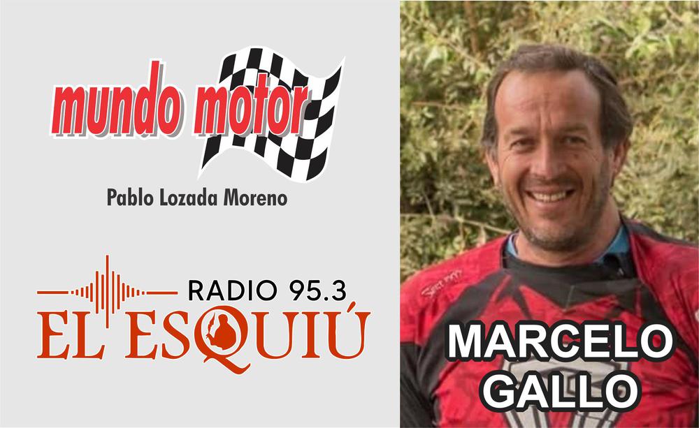Marcelo Gallo