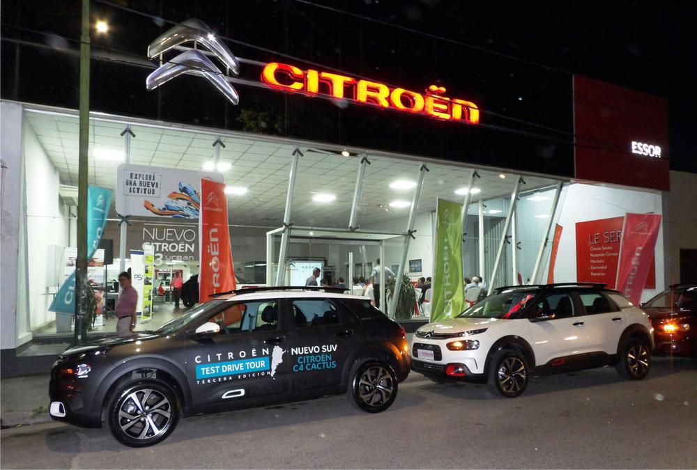 C4 Cactus 1 pag 11