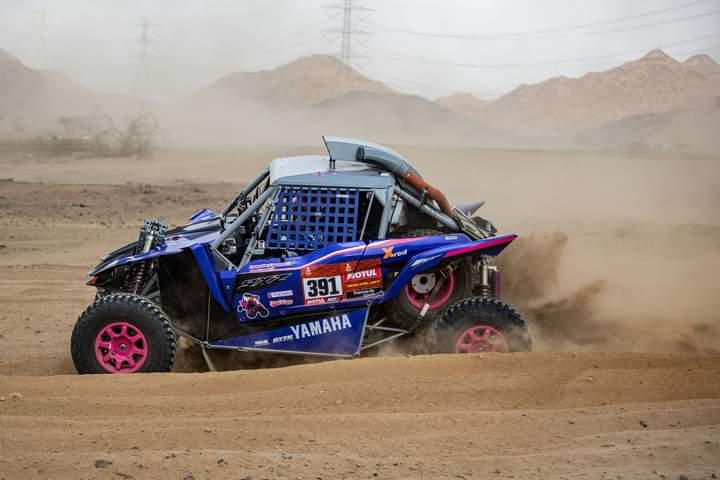 e12c2526-2971-40e6-9da0-ed4643a6cfe7