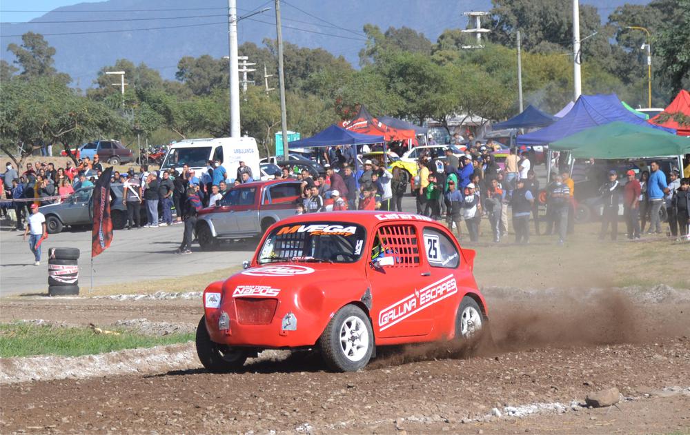 gallina 111