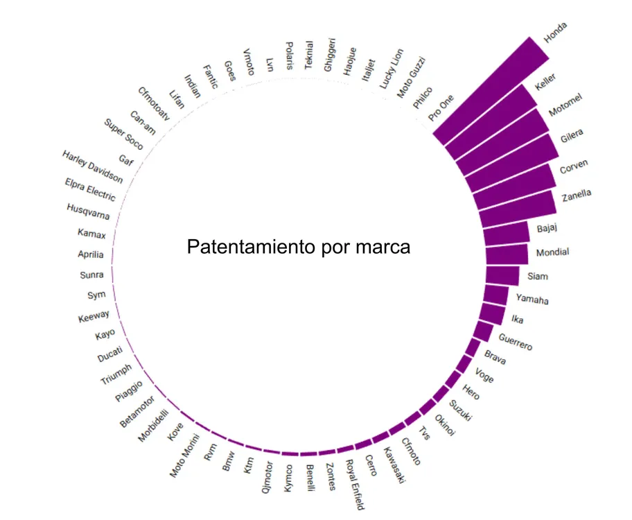 patentamiento 2